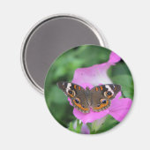 Aimant Papillon (Recto/Verso)