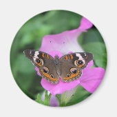 Aimant Papillon (Devant)