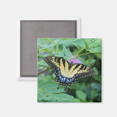 Aimant Papillon (Recto/Verso)