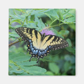 Aimant Papillon (Devant)