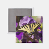 Aimant papillon (Recto/Verso)
