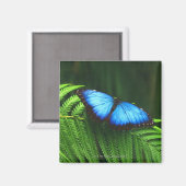 Aimant papillon (Recto/Verso)