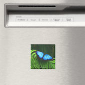 Aimant papillon (In Situ (Lave-vaisselle))