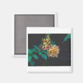 Aimant papillon (Recto/Verso)