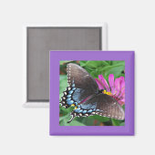 Aimant Papillon (Recto/Verso)