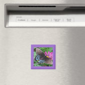 Aimant Papillon (In Situ (Lave-vaisselle))