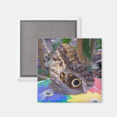 Aimant Papillon (Recto/Verso)