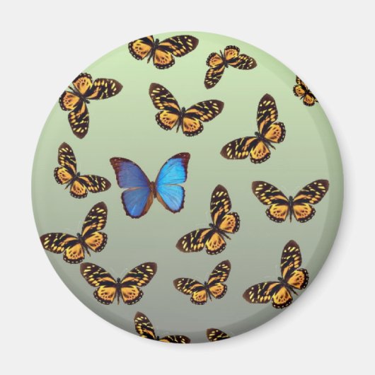 Aimant papillon (Devant)