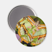 Aimant Papillon (Recto/Verso)