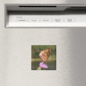 Aimant Papillon (In Situ (Lave-vaisselle))