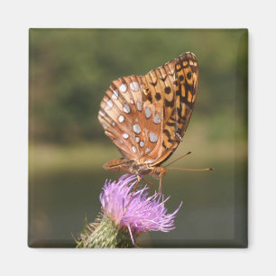 Aimant Papillon