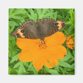 Aimant Papillon (Devant)