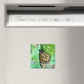Aimant papillon (In Situ (Lave-vaisselle))