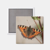 Aimant Papillon (Recto/Verso)