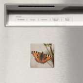 Aimant Papillon (In Situ (Lave-vaisselle))