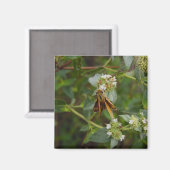 Aimant Papillon (Recto/Verso)