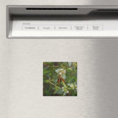 Aimant Papillon (In Situ (Lave-vaisselle))