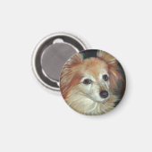 Aimant Papillon (Recto/Verso)