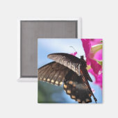 Aimant papillon (Recto/Verso)