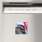 Aimant papillon (In Situ (Lave-vaisselle))