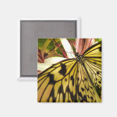 Aimant Papillon (Recto/Verso)