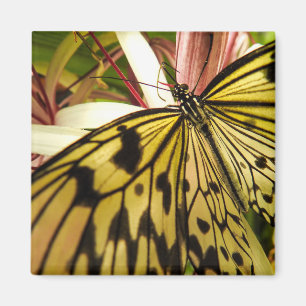 Aimant Papillon