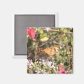 Aimant Papillon (Recto/Verso)