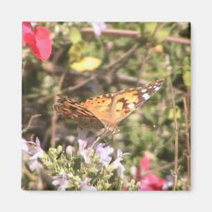 Aimant Papillon
