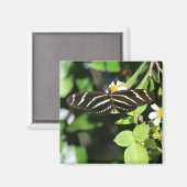 Aimant Papillon à aile longue Zebra (Recto/Verso)
