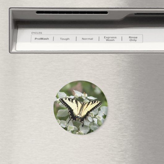 Aimant papillon à queue blanche (In Situ (Lave-vaisselle))