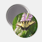 Aimant Papillon à queue d'aronde sur des fleurs sauvages (Recto/Verso)