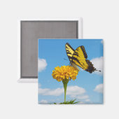 Aimant Papillon à queue épaisse de tigre sur une fleur (Recto/Verso)