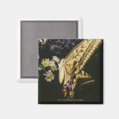 Aimant Papillon à queue épaisse sur la fleur, gros plan (Recto/Verso)