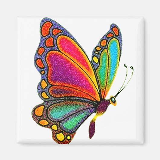 Aimant Papillon arc-en-ciel (Devant)