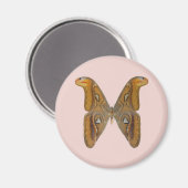 Aimant Papillon Atlas (Recto/Verso)