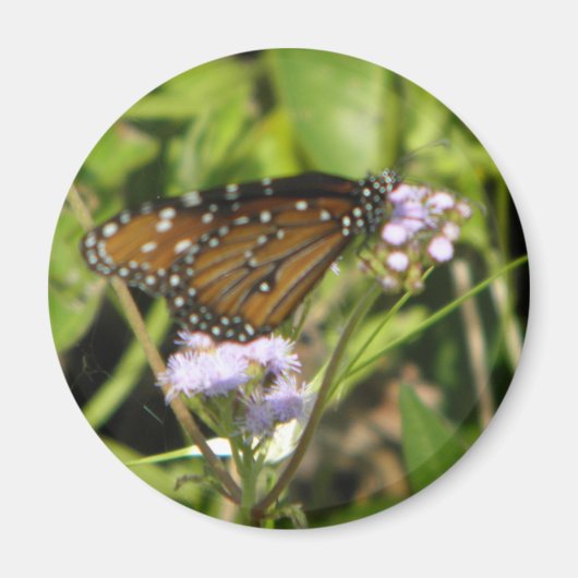 Aimant Papillon atterrit sur une Fleur (Devant)