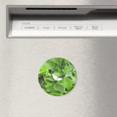 Aimant Papillon blanc (In Situ (Lave-vaisselle))