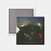 Aimant Papillon blanc en vol au coucher du soleil (Recto/Verso)