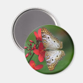 Aimant Papillon blanc Peacock photo florale (Recto/Verso)