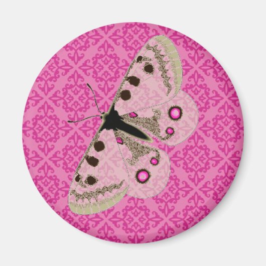 Aimant Papillon blanc sur rose (Devant)