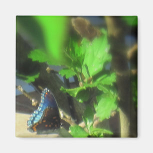 Aimant Papillon Bleu