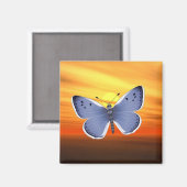 Aimant Papillon bleu (Recto/Verso)