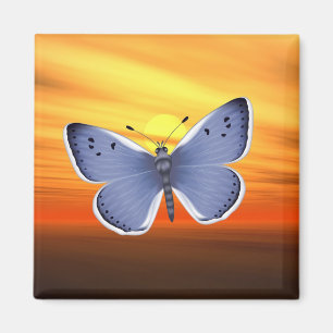 Aimant Papillon bleu