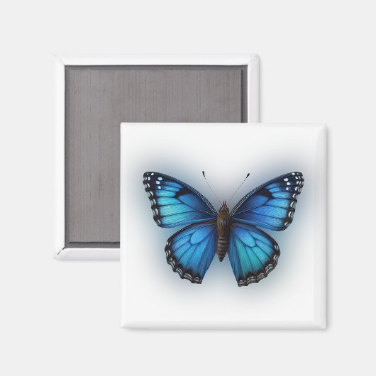Aimant Papillon bleu (Recto/Verso)