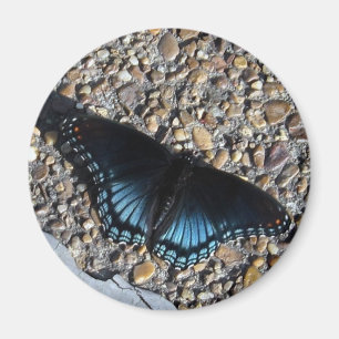 Aimant Papillon Bleu
