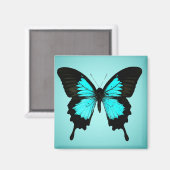 Aimant Papillon - bleu turquoise et noir (Recto/Verso)
