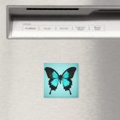 Aimant Papillon - bleu turquoise et noir (In Situ (Lave-vaisselle))