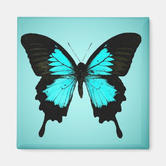Aimant Papillon - bleu turquoise et noir (Devant)