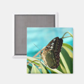 Aimant Papillon Brown - Ailes fermées (Recto/Verso)