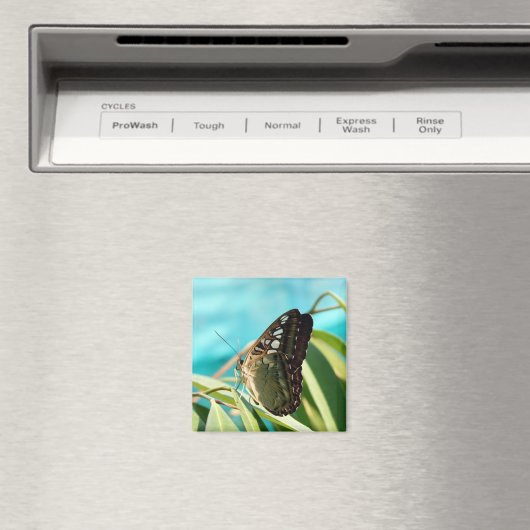 Aimant Papillon Brown - Ailes fermées (In Situ (Lave-vaisselle))